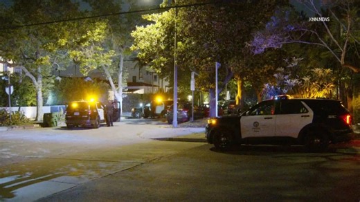 Police probe L.A. burglary connections