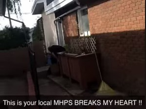 Medicine Hat police stand by officers seen killing mortally wounded deer