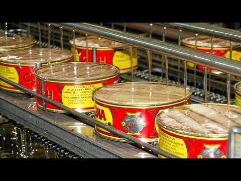 How Canned Tuna Is Made in Factory | Step by Step Process