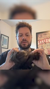 3 comments | What’s the real difference between our antimicrobial...