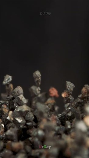 Magnet vs iron powder up close #urday #macro #closeup