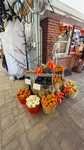 Countryview Farm Nursery on Reels