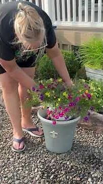 Annual Planter Hack for Instant Impact | Beginner Friendly Gardening 🌸