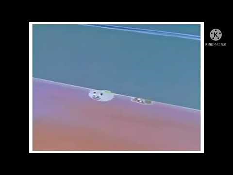 Tom & Jerry - Tom Scream Compilation in G Major