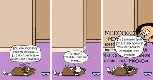 This Cartoonist Turns Everyday Cat Nonsense Into Hilarious Comics (29 New Comics)