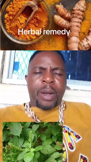 Exploring the Benefits of Herbal Medicine