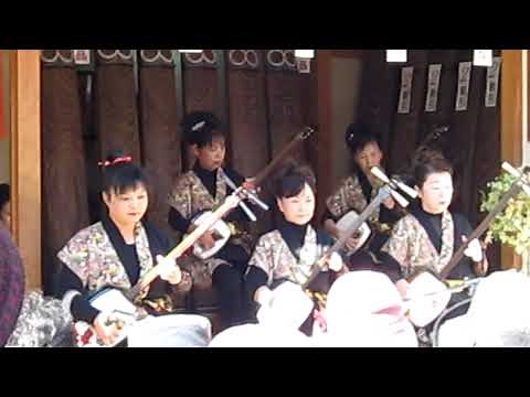 Shamisen - Traditional Japanese Musical Instrument