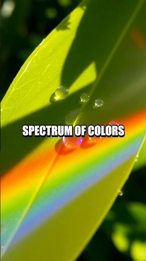 Making Rainbows with a Water Prism