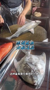 如何區分黑翅鯊魚 #殺魚技術 #鯊魚 #海鮮 | 窥探美食