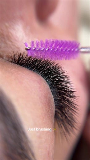 Finishing Touches: The Art of Lash Detailing