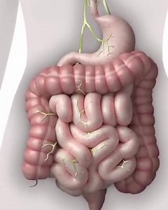 Ready to try Alpha Probiotics? "This product actually works, that's it. And their customer services is AMAZING. I cannot say enough good things about it." Try our risk-free 100% money back guarentee! ✔ Thousands of Happy Customers ✔ DNA Verified- 100% Survivability ✔ Eliminates Hunger, Sugar, and Carb Cravings ✔ Over 9.4 Billion CFU, SPORE FORM Only ✔ 100% Money Back Guarantee for up to 90Days 🏆 Rated #1 Probiotic Supplement by America's Oldest Non-Profit the N.H.F.(National Health Federation) 