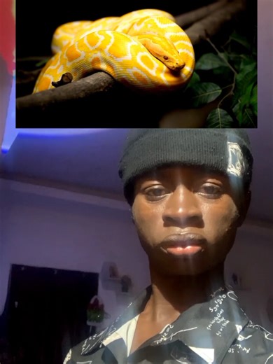 New one loading 💵🐍