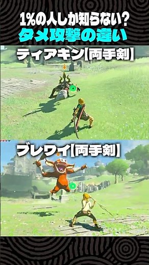 1％の人しか知らない?タメ攻撃の違い【ゼルダの伝説 ティアキン】