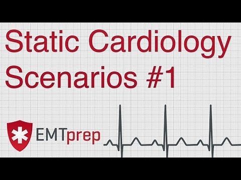 Static Cardiology Scenarios #1