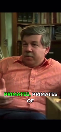 Neoteny: the evolutionary secret of human development #science #facts #humandevelopment #evolution