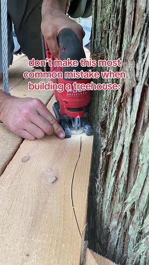 ‼️ don’t overlook this important step when building your treehouse ⬆️ #treehouse #treehousemasters #building #carpenter #carpentertips #construction #treefort #treehousebuilding