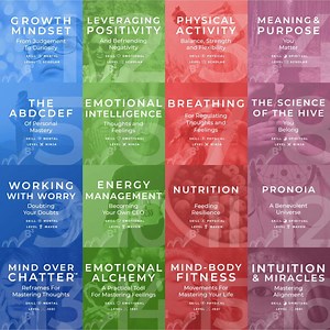 Bounce Back Better® Resilience Self-Study Courses - The Flourishing Center