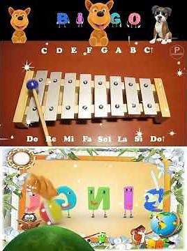 🎶Bingo es su nombre /Canciones en Xilófono - songs on xylophone - con notas musicales𝄞