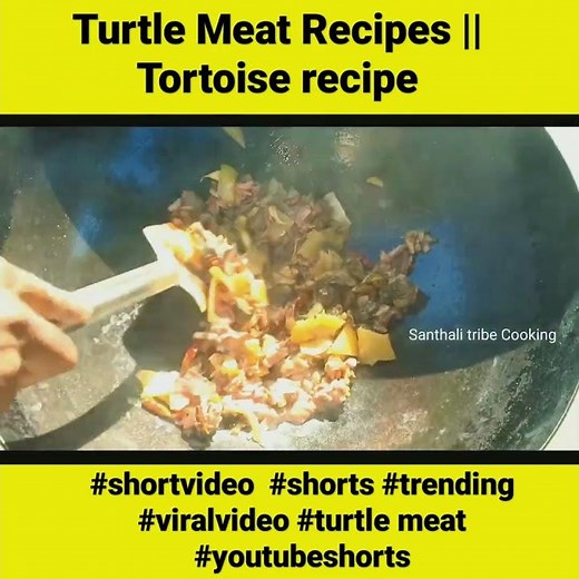 Turtle Meat Recipes || Tortoise Recipe ||@Santhali tribe Cooking