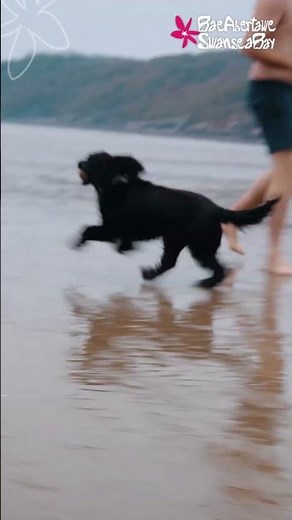 Cosy Winter Breaks in Swansea Bay