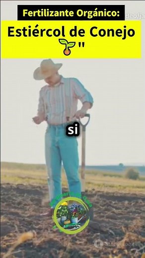 Organic Fertilizer: How to Make and Use Rabbit Manure 🌱