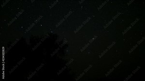 Starry night sky. Twinkling stars in the dark night sky. Time lapse. Starfall on a starry sky. Fascinating spectacle. Night sky behind the crown of a tree. Motion in the frame. Beautiful alluring