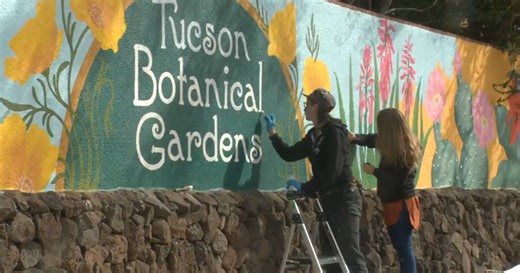 Tucson Botanical Gardens celebrates 50th anniversary with community mural