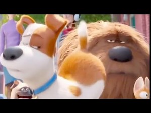 Secret Life Of Pets Max Fart Edit
