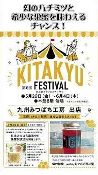 採れたて巣蜜販売！【5/29 二ホンミツバチ講演会】日本みつばちの養蜂 How to Beekeeping