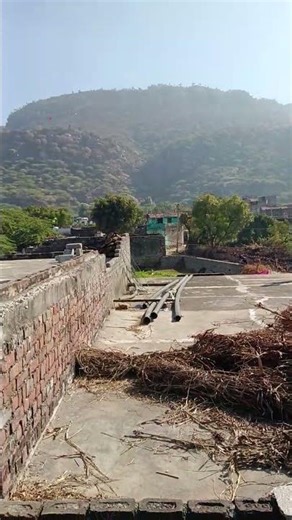 #funny #rap #reels #algorithm #facts #cute #animals #comedyreels #love #like #love #bts #ai #usa #yt