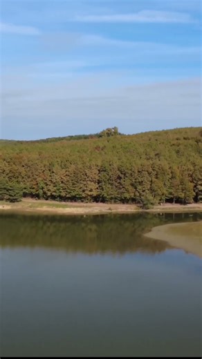 Ahol az elme elcsendesülhet #nature #lenti #zalamegye #erdőfürdő #erdőterápia #natura #horgásztó