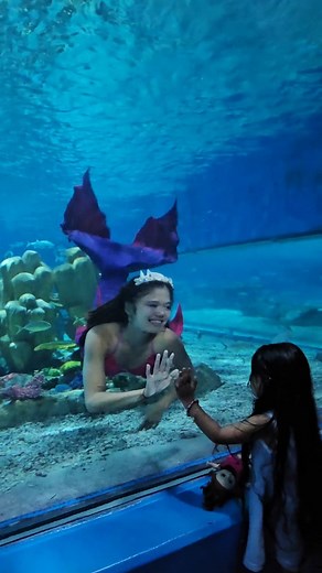 Tarakini Mermaid & Yoga on Instagram: "This is the pure magic you can create! ✨ Witnessing this little one's face light up makes every fin-flip worth it. Ready to go from spectator to siren? We have slots available for aspiring mermaids! Whether your new and just want to give it a try, send us a message and learn to wave and bubble kiss like a pro! 🫧 🧜🏽‍♀️ @salvusmermaid 👑 @art_services_gifted_hand_shell ​#MermaidSchool #Mermaiding #LearnToMermaid #MermaidClasses #OceanariumMagic #BubbleKiss