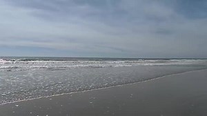 22K views · 2.1K reactions | Lets's get up close and personal. | Explore North Myrtle Beach | Facebook