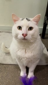 7.6K views · 186 reactions | Clarissa’s story comes full circle ➡️....