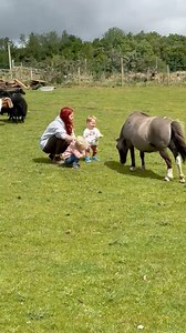Visiting pixie with Blake and Beau and teaching them how they must always approach pixie from the front and never walk behind her. It’s so paramount to put some safety boundaries in place with them so they learn how to be safe around every type of animal we have on the farm.❤ #toddler #pony #farmanimals #farmlife #cuteanimals | Red Shepherdess