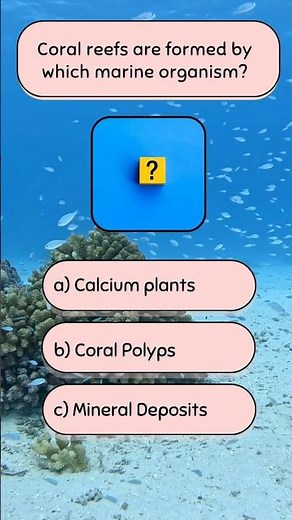 #1🪸🌊The secret of Coral reefs