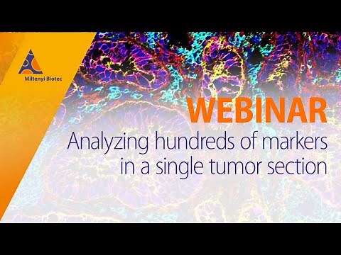 Analyzing hundreds of markers in a single tumor section [WEBINAR]
