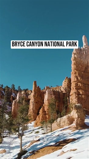 Six National Parks for RV Camping in the Snow (and Which Ones You Can Book in January)