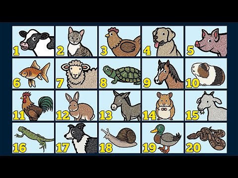 Counting 1 to 20 | Learn to Count Numbers | Learn Names of 20 Animals with Glitter & Googly Eyes