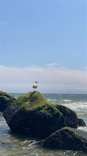 claudia!!! on Instagram: "as someone who does this for a job let me help you because I promise YOU’RE GORGEOUS you just need to pose right #pictures #photogenic #takingphotoes #ig #influencers #instagrampics #howtotakepics #lookingbadinpictures"