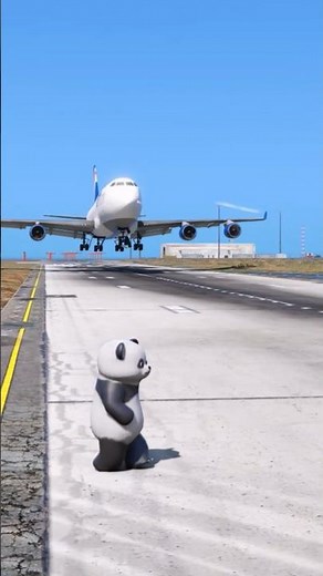Panda Man Accidentally Comes Runway During Airplane Landing #gtav #shorts