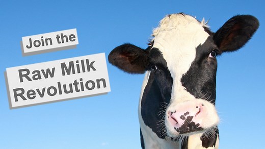Benefits of Raw Milk — Australian Raw Milk Movement