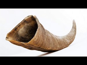 Bible Symbols: Horn