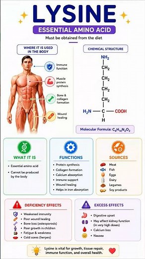 🧬⚡LYSINE – The Growth and Immunity Amino Acid ⚡