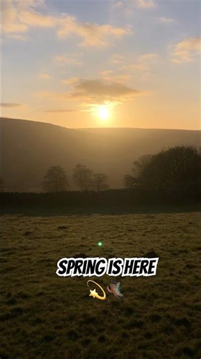 A Spring in my step 🥾💫🌲☀️