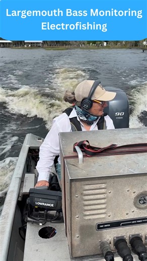 87K views · 383 reactions | After a jolt in the grass, biologists...