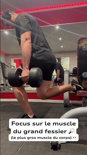 Focus sur les fessiers 👀