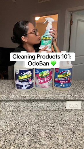 Essential Cleaning Tips for a Spotless Home