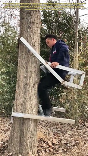 Tree Climbing Revolution: The Steel Pipe Invention That Makes Scaling Trees Effortless