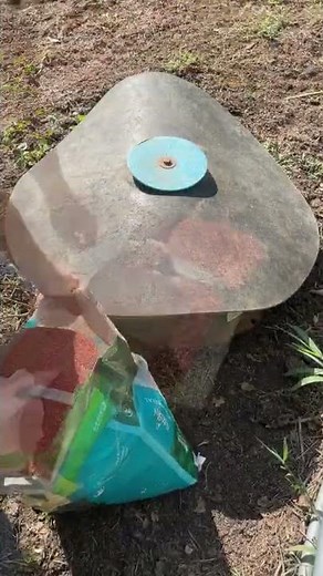 QUICK TIP - Supercharging Your Cattle! - Providing Mineral Supplements for Your Cattle - #Shorts